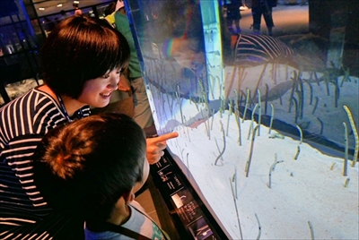 すみだ水族館　さあ、ゴハン