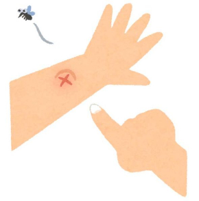 蚊 爪 バッテン