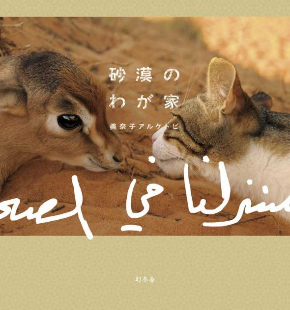 猫 忍び 部屋 天井