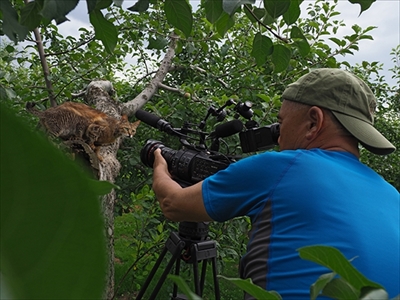 劇場版　世界ネコ歩き