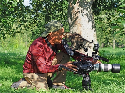 劇場版　世界ネコ歩き