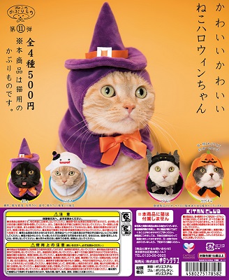 かぶりねこ