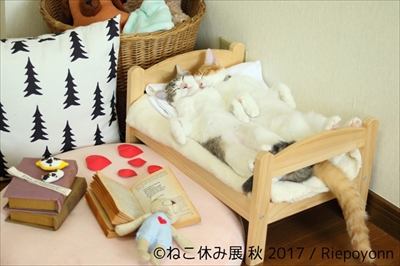 ねこ休み展 秋