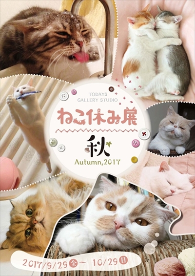ねこ休み展 秋