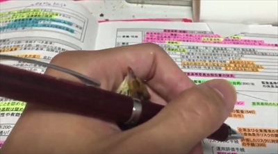 ウズラちゃん