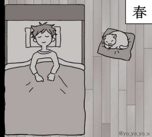 ネコで感じる四季 漫画 猫 季節