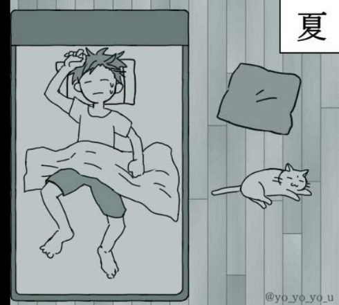 ネコで感じる四季 漫画 猫 季節