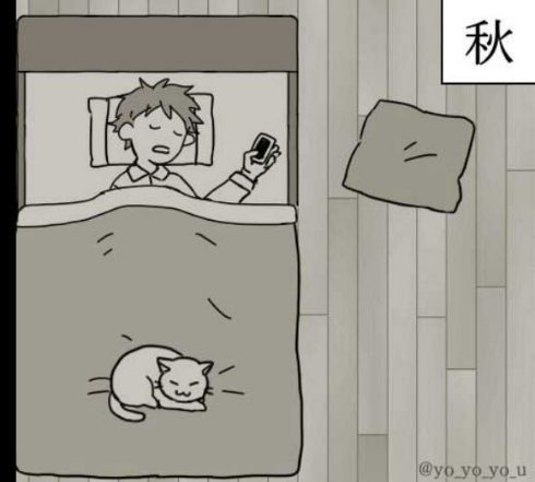 ネコで感じる四季 漫画 猫 季節