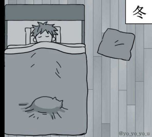 ネコで感じる四季 漫画 猫 季節