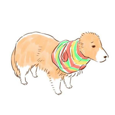 ネットショッピング 失敗 犬 服 シェルティ
