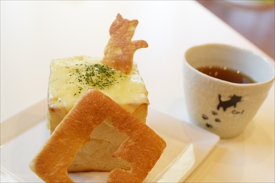 猫カフェもふにゃん