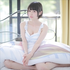 アニメカバー用抱き枕