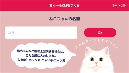 ちゅ〜る CIAO ちゅ〜る いなば食品 猫 ねこ ネコ