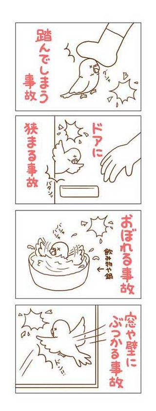 インコ 事故死 漫画