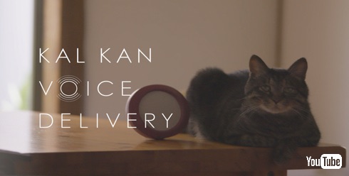 猫は三年の恩を三日で忘れる