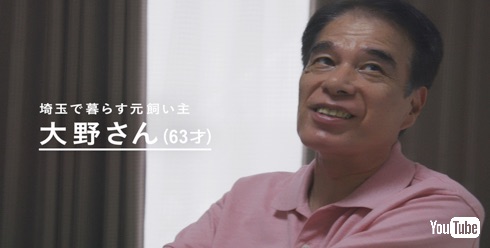 猫は三年の恩を三日で忘れる