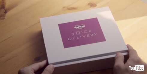 猫は三年の恩を三日で忘れる