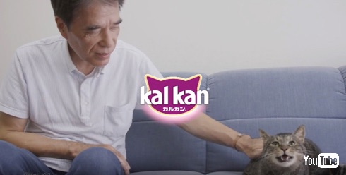 猫は三年の恩を三日で忘れる