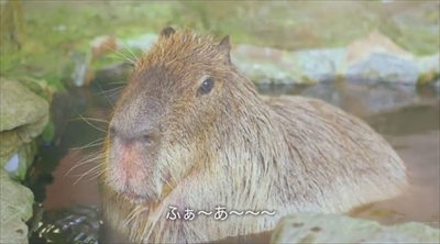 リクシル動画