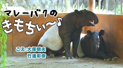リクシル動画