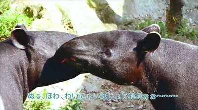 リクシル動画