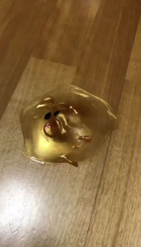ウオーターボール