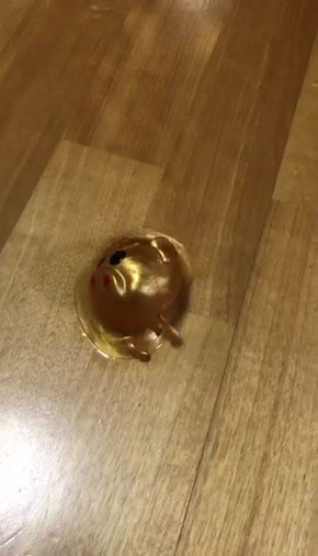 ウオーターボール