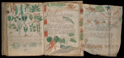 解読不能の奇書「ヴォイニッチ手稿」、ついに解読!? 懐疑的な