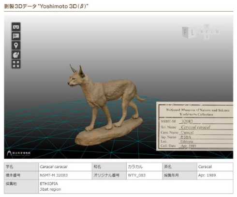 ヨシモトコレクション 剥製 3Dモデル 国立科学博物館