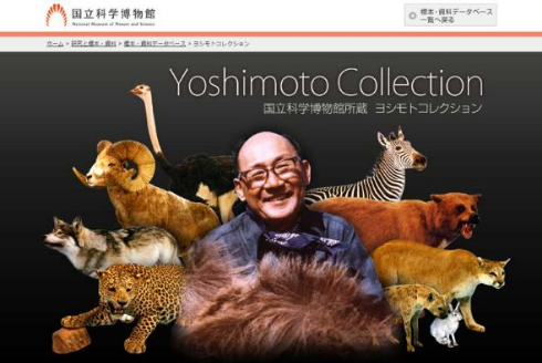 ヨシモトコレクション 剥製 3Dモデル 国立科学博物館