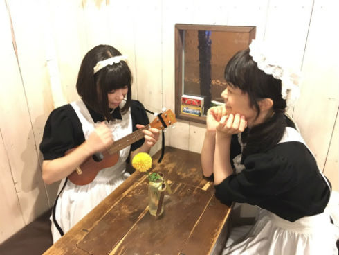 シャッツキステ