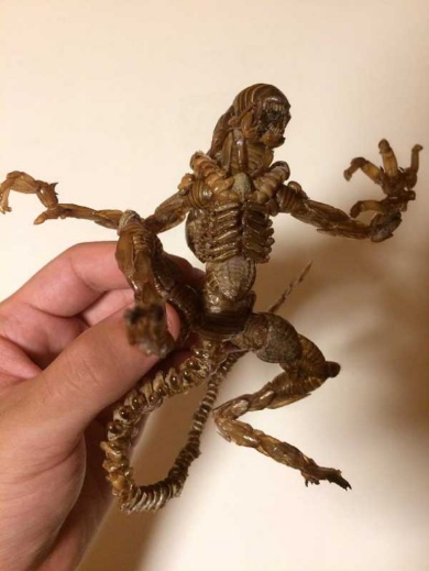 蝉の抜け殻 エイリアン