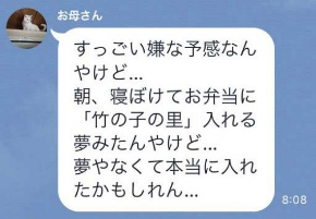 お弁当 たけのこの里 母