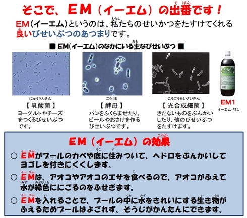 「EM菌でプール掃除」「花粉症が治った人も」山形県小学校ブログ、科学的根拠なく炎上　学校ではなく町単位での取り組み