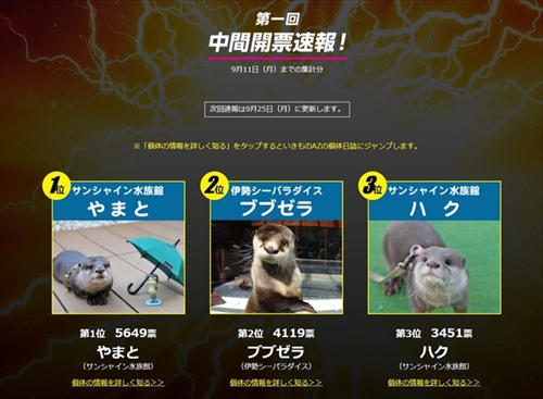 カワウソ総選挙中間発表