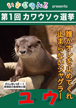 カワウソ総選挙中間発表