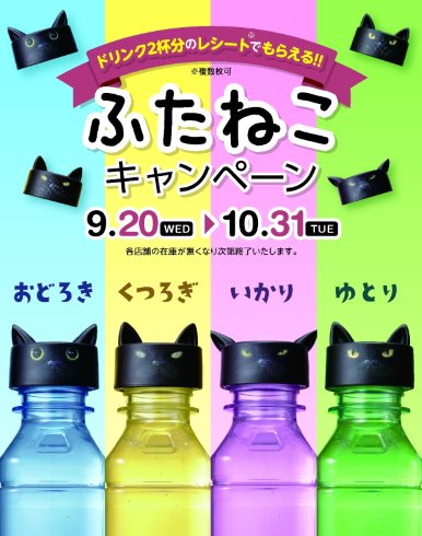 シャノアール ふたねこ