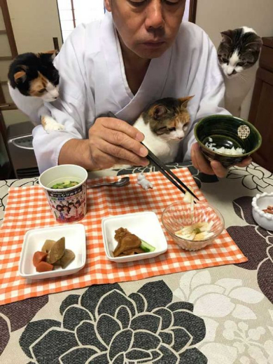 長楽寺 猫 三位一体 住職