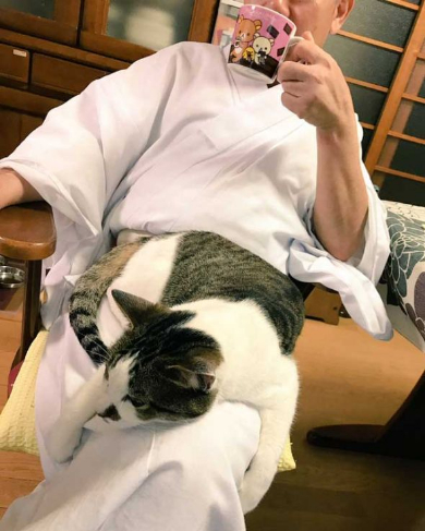 長楽寺 猫 三位一体 住職