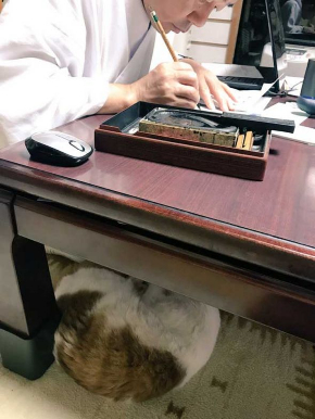 長楽寺 猫 三位一体 住職