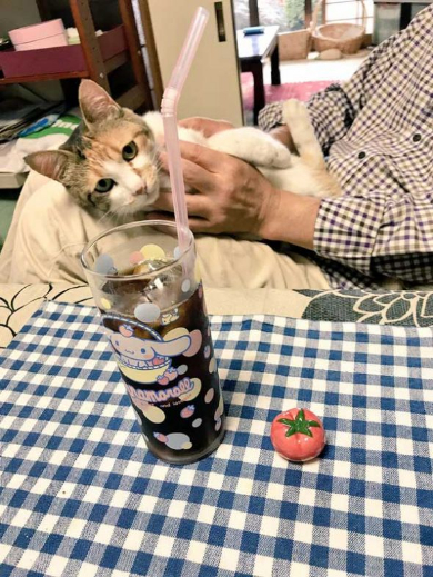 長楽寺 猫 三位一体 住職