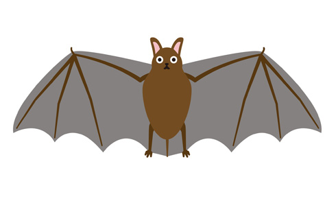 コウモリ 駆除 方法