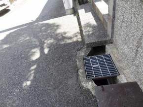 排水溝 子猫 救出 ペットボトル