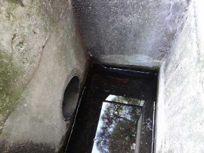 排水溝 子猫 救出 ペットボトル