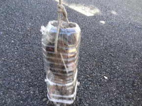 排水溝 子猫 救出 ペットボトル