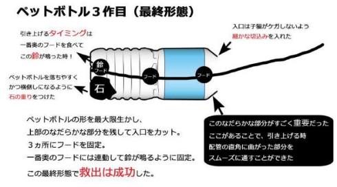 排水溝 子猫 救出 ペットボトル