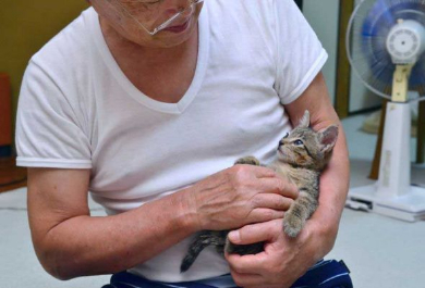 排水溝 子猫 救出 ペットボトル