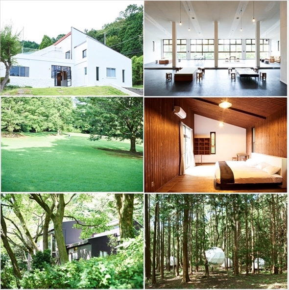 イン・ザ・パーク