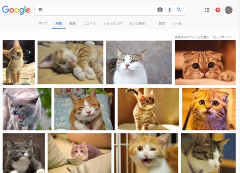 DLsite　エイシス　CAT-NET　CATCG-NET