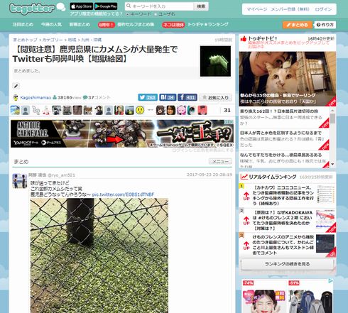 鹿児島　カメムシ　大量　発生